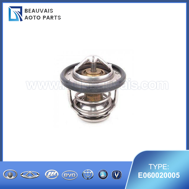 E060020005THERMOSTAT