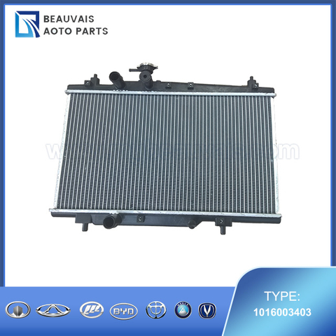 1016003403RADIATOR ASSY