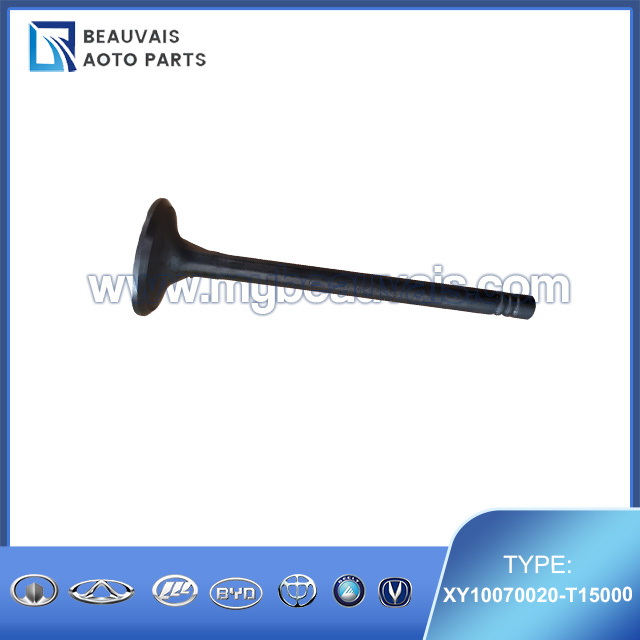 XY10070020-T15000 Exhaust valve SWM