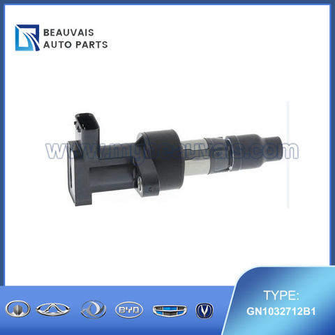 DELPHI GN1032712B1 Ignition Coil