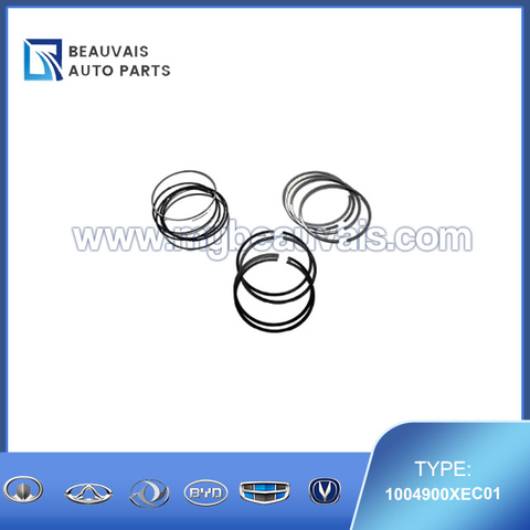 1004900XEC01 Piston ring assembly H9