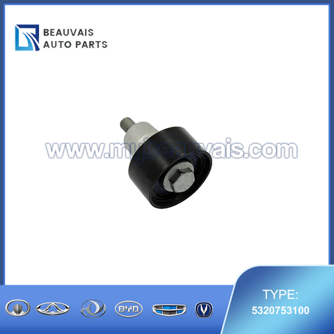 INA 5320753100 IdlerRoller