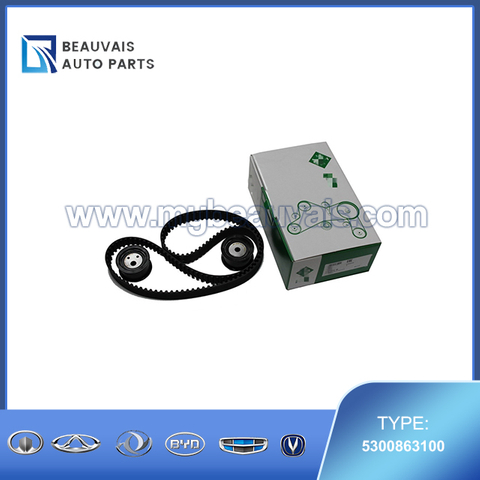 INA Timing Belt Kit 5300863100