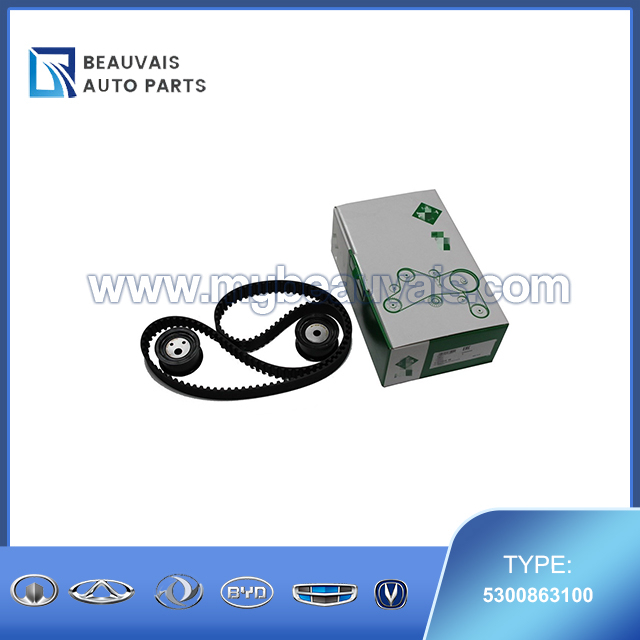 INA Timing Belt Kit 5300863100