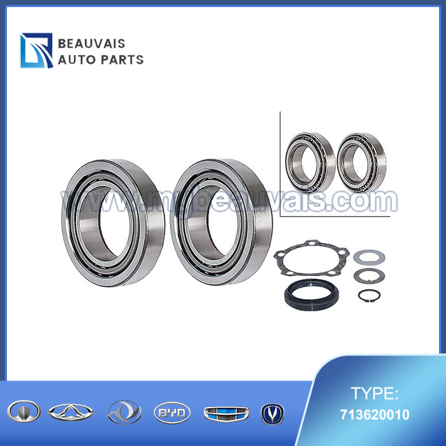 FAG 713 6200 10 Wheel Bearing Kit