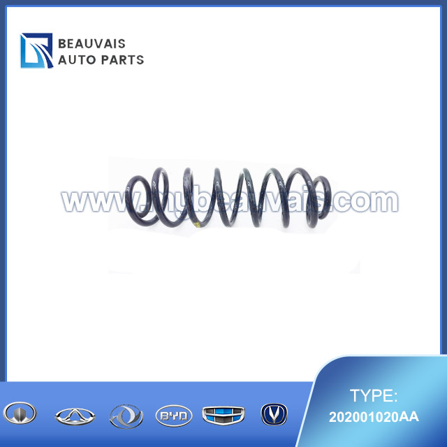 202001020AA Rear spring C5