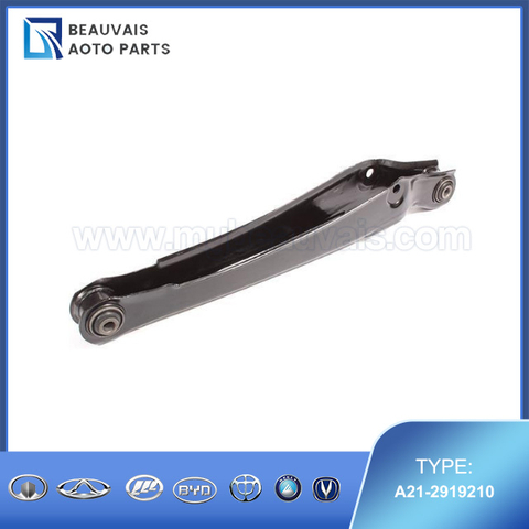 A21-2919210LWR SWING ARM ASSY