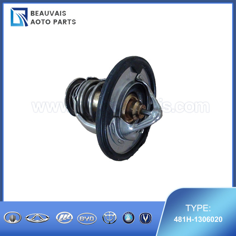 481H-1306020THERMOSTAT ASSY