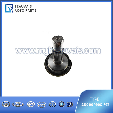2200300P3060-F03 External ball cage T6