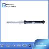202000844AA Rear shock absorber S5