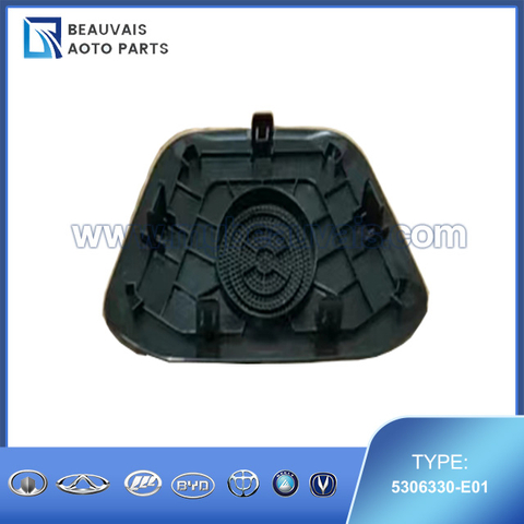 5306330-E01 Main instrument speaker cover assembly SWM