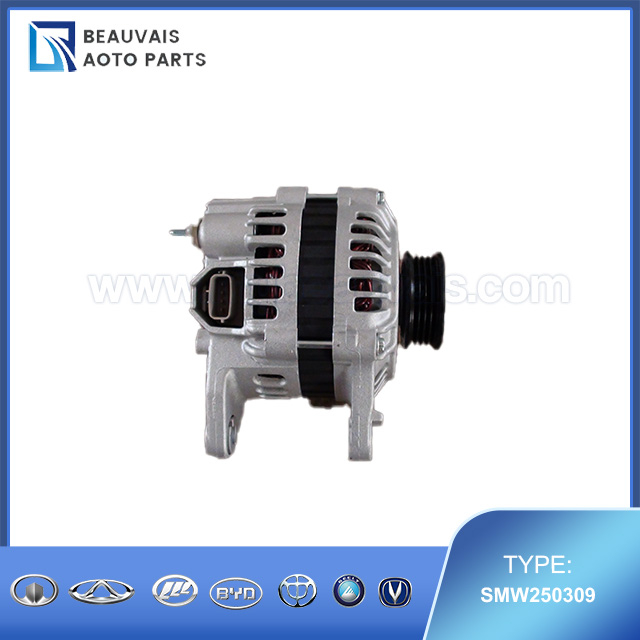 SMW250309GENERATOR ASSY
